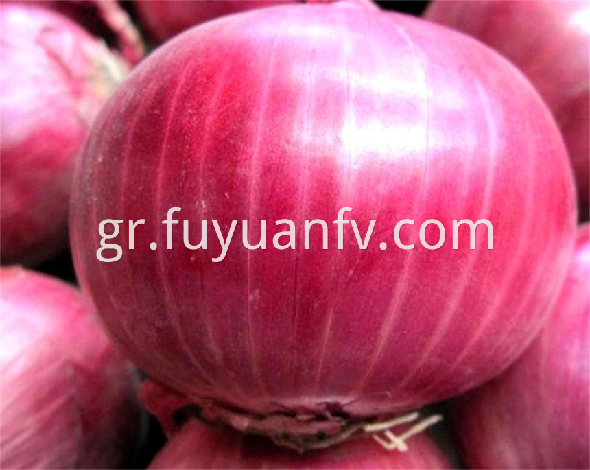 red onion